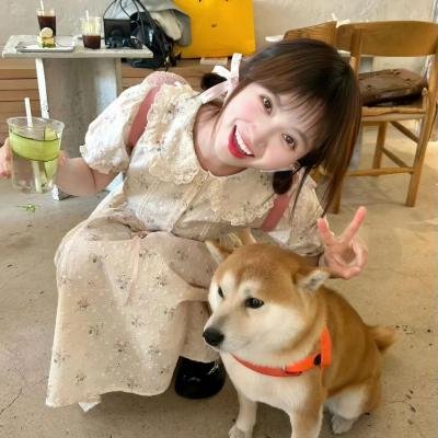 老板的菜单